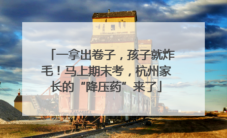 一拿出卷子，孩子就炸毛！马上期末考，杭州家长的“降压药”来了