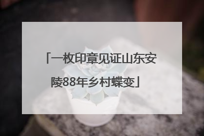 一枚印章见证山东安陵88年乡村蝶变