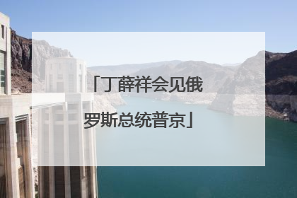 丁薛祥会见俄罗斯总统普京