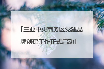 三亚中央商务区党建品牌创建工作正式启动