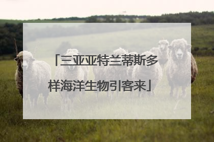 三亚亚特兰蒂斯多样海洋生物引客来