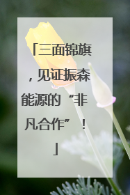 三面锦旗，见证振森能源的“非凡合作”！