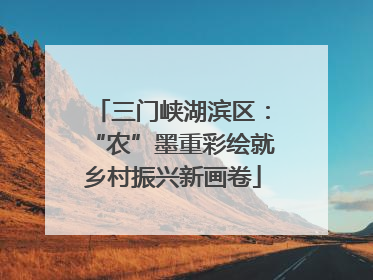 三门峡湖滨区：“农”墨重彩绘就乡村振兴新画卷