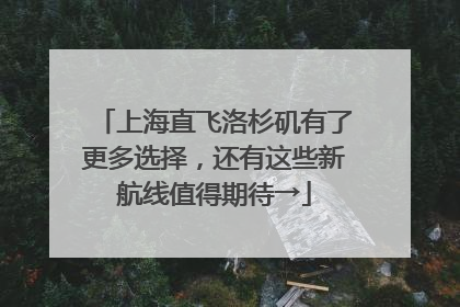 上海直飞洛杉矶有了更多选择，还有这些新航线值得期待→
