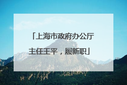 上海市政府办公厅主任王平，履新职