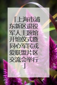 上海市浦东新区退役军人主题馆开馆仪式暨同心军民戎爱联盟片区交流会举行