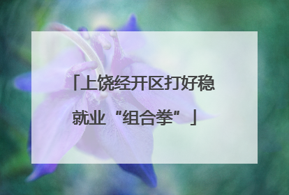上饶经开区打好稳就业“组合拳”