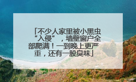 不少人家里被小黑虫“入侵”，墙壁窗户全部爬满！一到晚上更严重，还有一股臭味