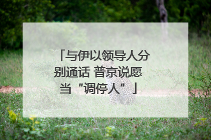 与伊以领导人分别通话 普京说愿当“调停人”