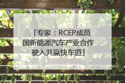 专家：RCEP成员国新能源汽车产业合作驶入共赢快车道