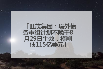 世茂集团：境外债务重组计划不晚于8月29日生效，将削债115亿美元