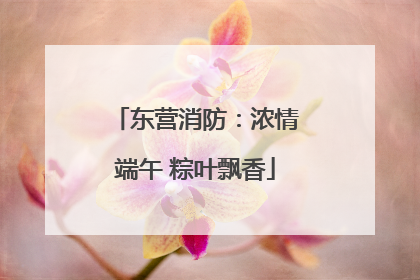 东营消防：浓情端午 粽叶飘香