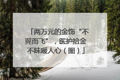 两万元的金饰“不翼而飞”，医护拾金不昧暖人心（图）