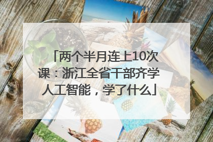 两个半月连上10次课：浙江全省干部齐学人工智能，学了什么