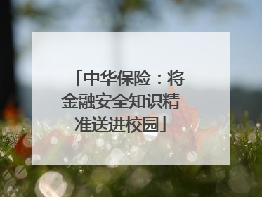 中华保险：将金融安全知识精准送进校园