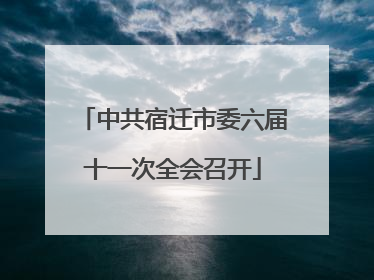 中共宿迁市委六届十一次全会召开