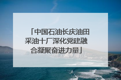 中国石油长庆油田采油十厂深化党建融合凝聚奋进力量