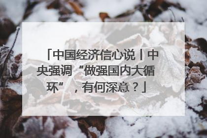 中国经济信心说丨中央强调“做强国内大循环”，有何深意？