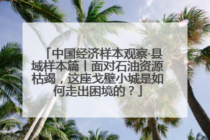 中国经济样本观察·县域样本篇丨面对石油资源枯竭，这座戈壁小城是如何走出困境的？
