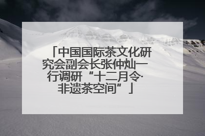 中国国际茶文化研究会副会长张仲灿一行调研“十二月令·非遗茶空间”