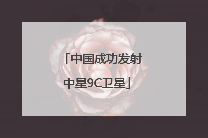 中国成功发射中星9C卫星