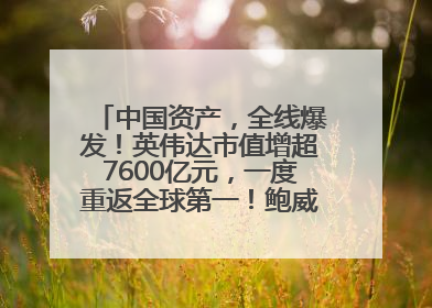 中国资产，全线爆发！英伟达市值增超7600亿元，一度重返全球第一！鲍威尔与特朗普会面，他们聊了什么？