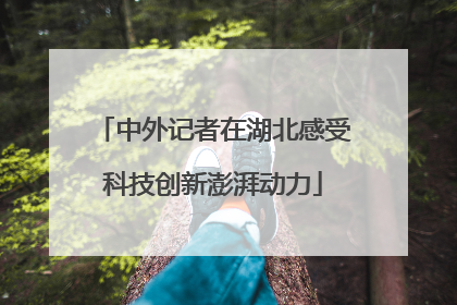 中外记者在湖北感受科技创新澎湃动力