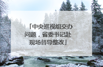 中央巡视组交办问题，省委书记赴现场督导整改