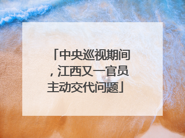 中央巡视期间，江西又一官员主动交代问题