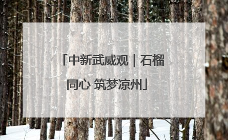 中新武威观｜石榴同心 筑梦凉州
