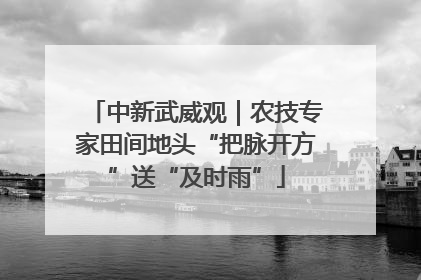 中新武威观｜农技专家田间地头“把脉开方”送“及时雨”