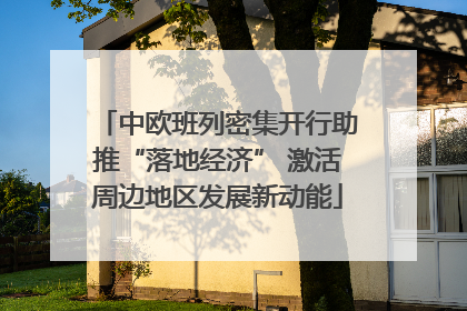 中欧班列密集开行助推“落地经济” 激活周边地区发展新动能
