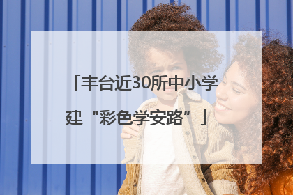 丰台近30所中小学建“彩色学安路”