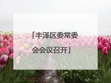 丰泽区委常委会会议召开