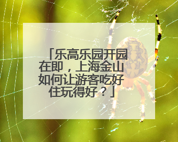 乐高乐园开园在即，上海金山如何让游客吃好住玩得好？