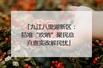 九江八里湖新区：精准“吹哨”聚民意 真查实改解民忧