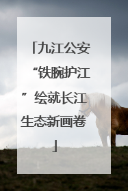 九江公安“铁腕护江”绘就长江生态新画卷