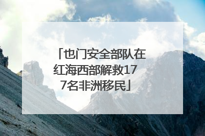 也门安全部队在红海西部解救177名非洲移民