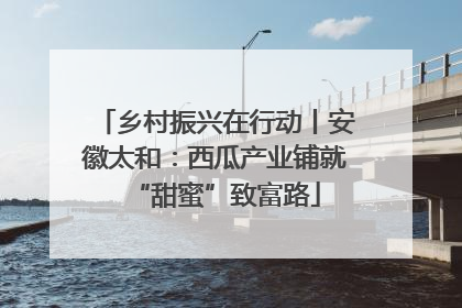 乡村振兴在行动丨安徽太和：西瓜产业铺就“甜蜜”致富路