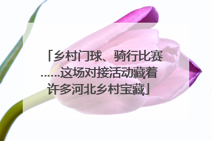 乡村门球、骑行比赛……这场对接活动藏着许多河北乡村宝藏