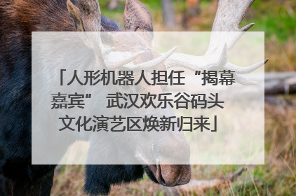 人形机器人担任“揭幕嘉宾” 武汉欢乐谷码头文化演艺区焕新归来