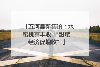 五河县新集镇：水蜜桃喜丰收 “甜蜜经济促增收”