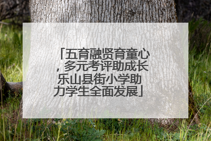 五育融贤育童心，多元考评助成长 乐山县街小学助力学生全面发展
