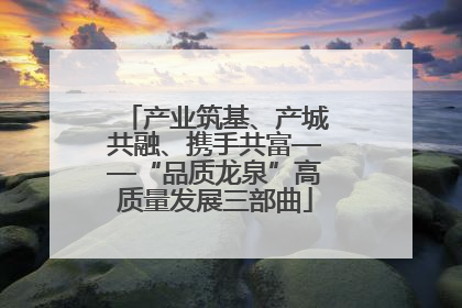 产业筑基、产城共融、携手共富——“品质龙泉”高质量发展三部曲