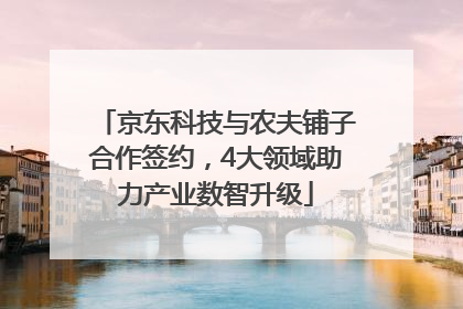 京东科技与农夫铺子合作签约，4大领域助力产业数智升级