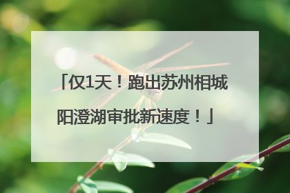 仅1天！跑出苏州相城阳澄湖审批新速度！