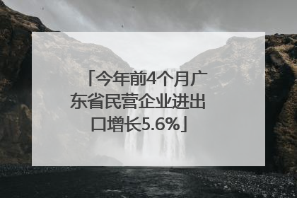 今年前4个月广东省民营企业进出口增长5.6%