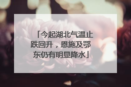 今起湖北气温止跌回升，恩施及鄂东仍有明显降水