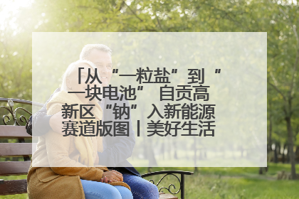 从“一粒盐”到“一块电池” 自贡高新区“钠”入新能源赛道版图丨美好生活有“盐”味
