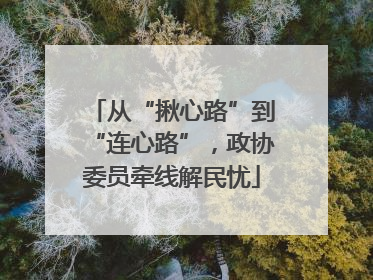 从“揪心路”到“连心路”，政协委员牵线解民忧